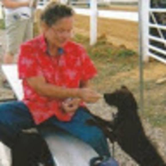 Meet your Posher, Lytnstryke chase - Picture 1 of 1